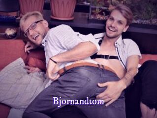 bjornandtom Super Webcam