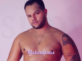 blakeadamsx Super Webcam