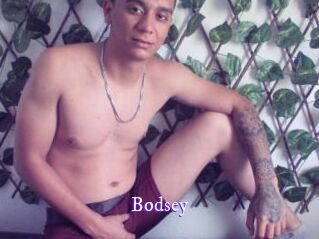 Bodsey