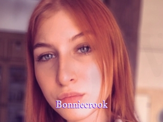 bonniecrook Super Webcam