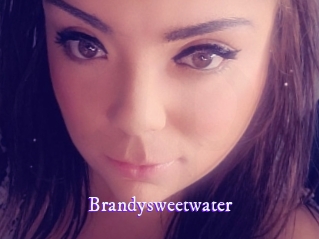brandysweetwater Super Webcam