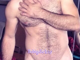 brbigdick29 Super Webcam