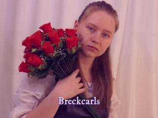 breckcarls Super Webcam