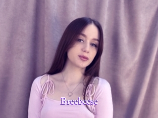 Breebeese