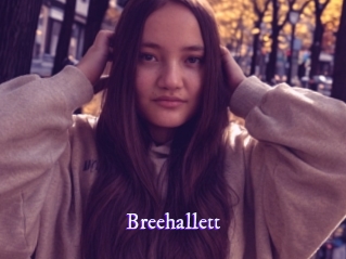 Breehallett