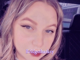 Bridgetharkey