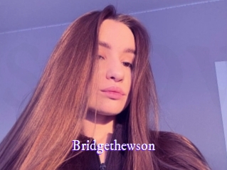 bridgethewson Super Webcam