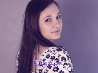 brittgaillard Super Webcam