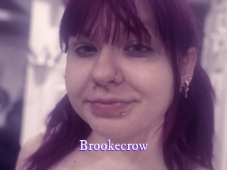 brookecrow Super Webcam