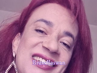 brunellaswan Super Webcam