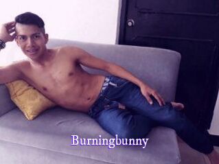 Burningbunny
