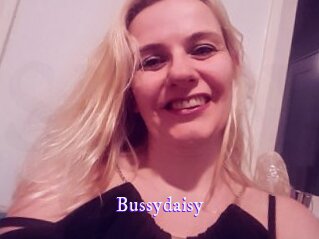 Bussydaisy