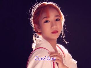 CarelAny Super Webcam