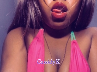CassidyK Super Webcam