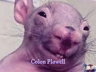 Colon_Plowell