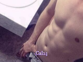 Cal23