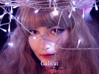 Calicat