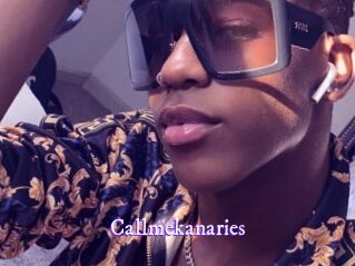 Callmekanaries