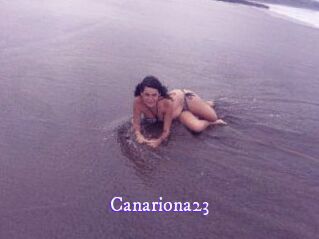 Canariona23