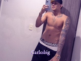 carlesbig Super Webcam