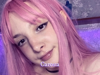 carosta Super Webcam