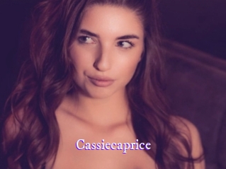 cassiecaprice Super Webcam