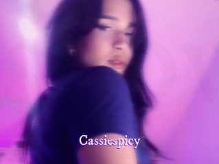 cassiespicy Super Webcam