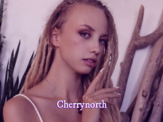 cherrynorth Super Webcam