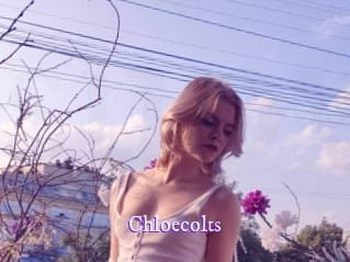 Chloecolts