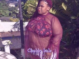 Chubby_bule