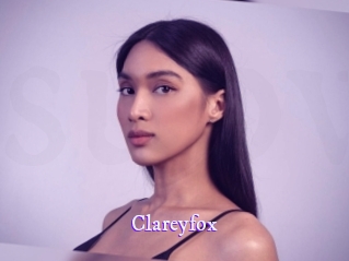 clareyfox Super Webcam
