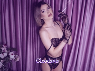cleodavis Super Webcam