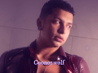 coonor_wolf Super Webcam