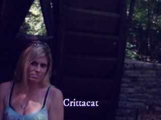 Crittacat