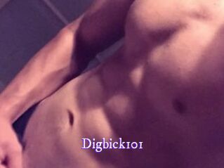 Digbick101