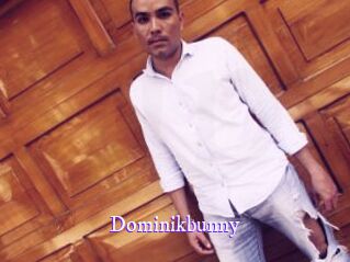 Dominikbunny