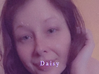 D_a_i_s_y