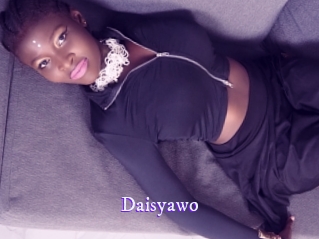 daisyawo Super Webcam