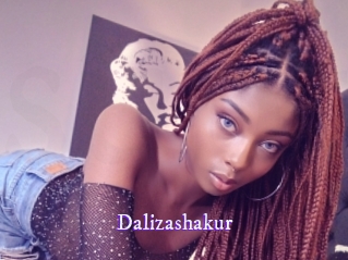 dalizashakur Super Webcam