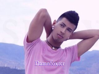 Damnfoxter