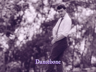 dantebone Super Webcam
