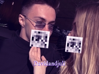 davidandjuli Super Webcam
