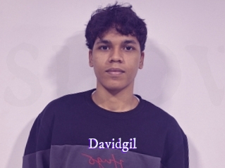 davidgil Super Webcam