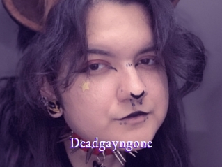deadgayngone Super Webcam
