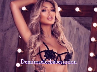 Demiroseleebabestation