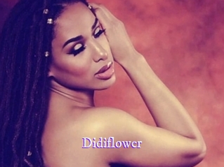 Didiflower
