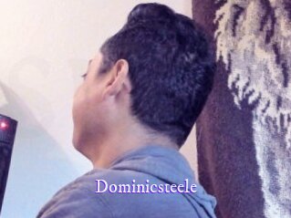 Dominicsteele