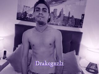 drakegnzlz Super Webcam