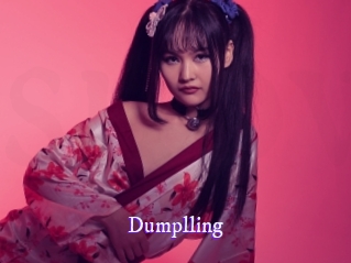 dumplling Super Webcam