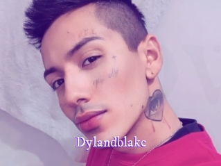 Dylandblake